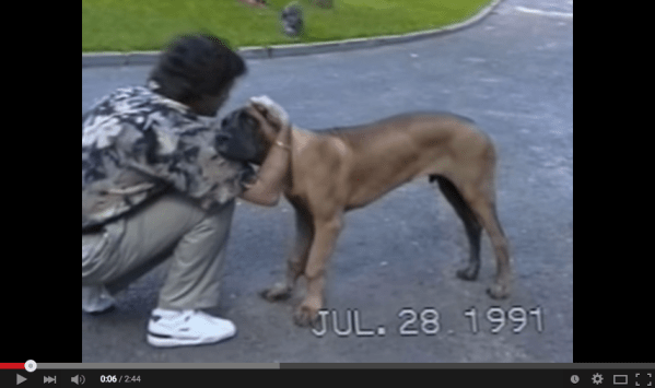 Screenshot 2015-05-31 04.41.03